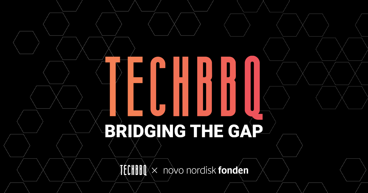 04_TechBBQ_Bridging-the-Gap-FI-1